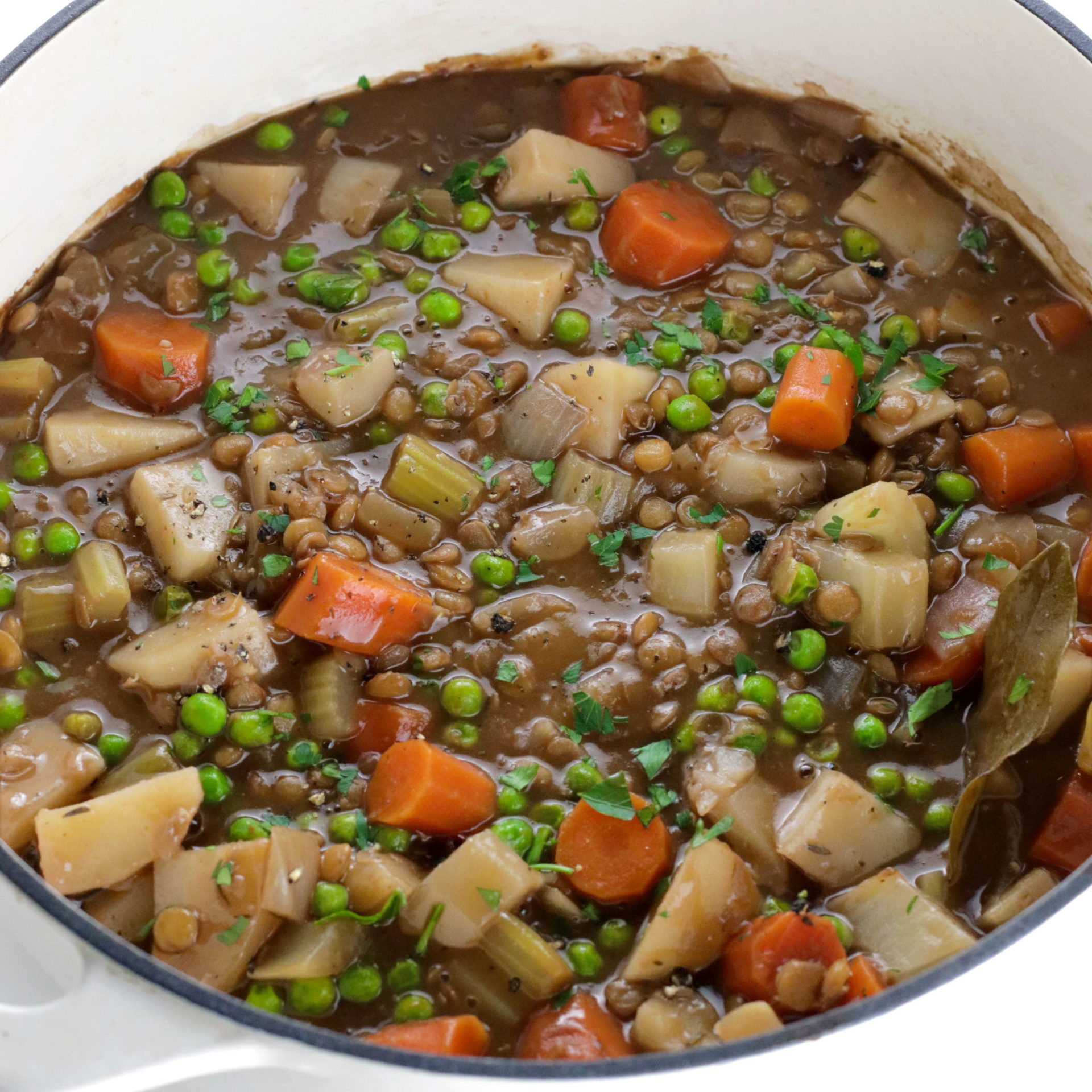 hearty-vegan-lentil-stew-easy-vegan-meal-plan